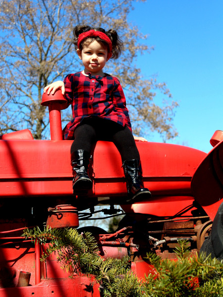 Lugares donde tirarse fotos en Quinn Farm