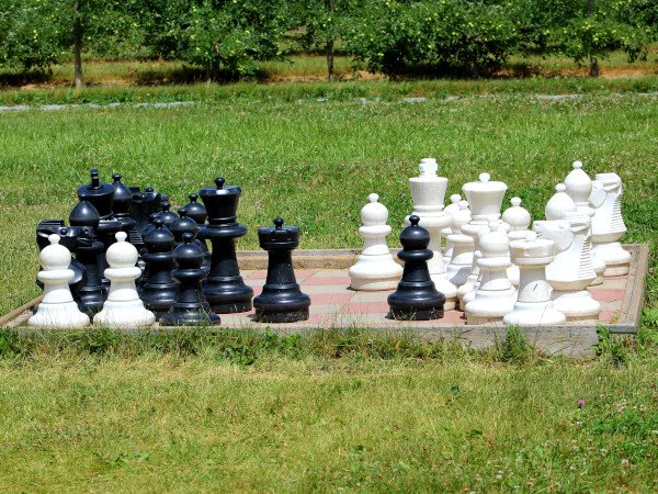 Juego de ajedrez en Applewood Farm and Winery