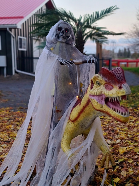Decoración por Halloween en Indian River Reptile and Dinosaur Park