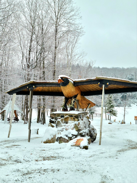 Thunderbird (pájaro del trueno) en Omega Park