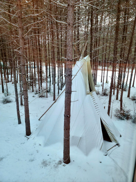 Ejemploo de tipi