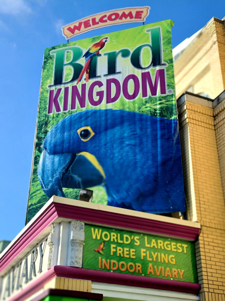 Exterior del edificio donde se encuentra Bird Kingdom