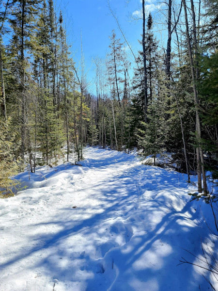 Paisaje de invierno mientras se hace senderismo 