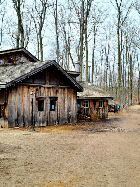 Cabaña de madera donde tiene lugar la produccion del sirope de arce