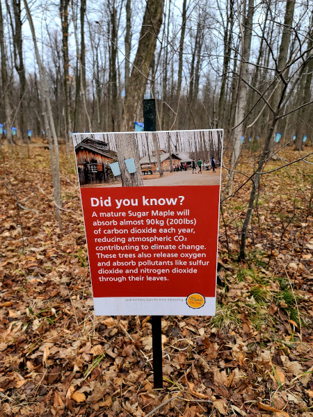 Sendero con trivia en Mountsberg Conservation Area