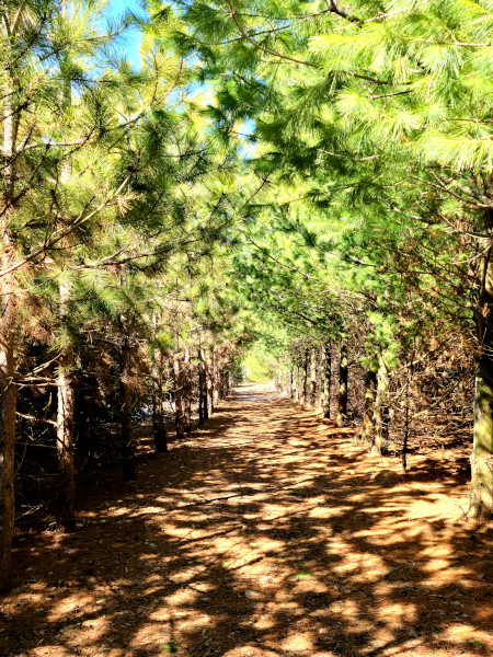 Senderismo en la granja