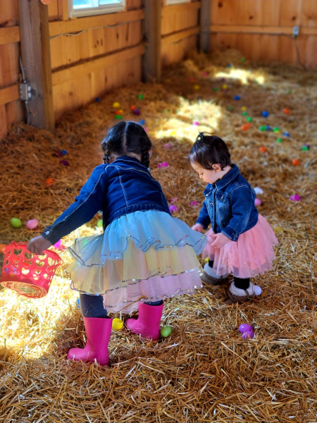Recolectando huevos de Pascuas