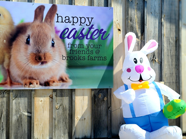 Festival de Pascuas en Brooks Farm