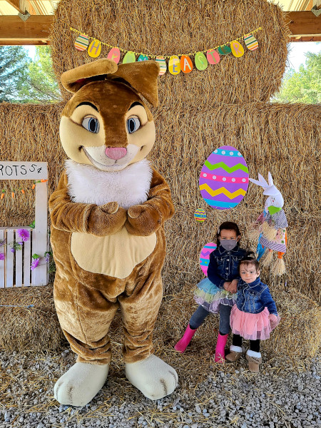 Conociendo al conejo de Pascuas