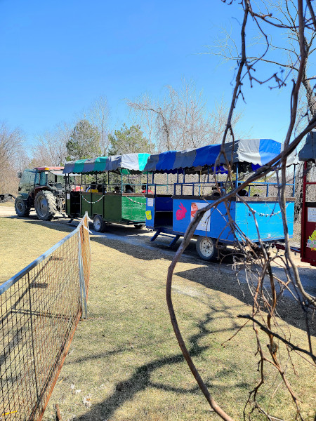Recorrido en tren por la granja