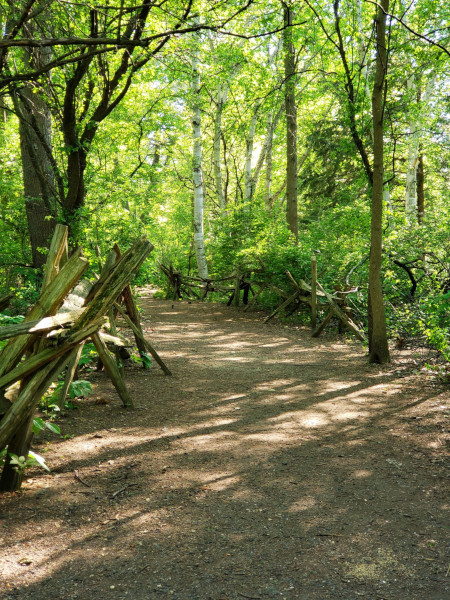 Chickadee Trail en Lynde Shores Conservation Area