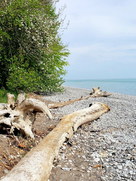 Vista del lago Ontario en el Lake Ontario Trail