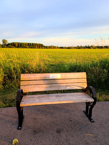 Pradera donde se pueden ver los venados en Lynde Shores Conservation Area