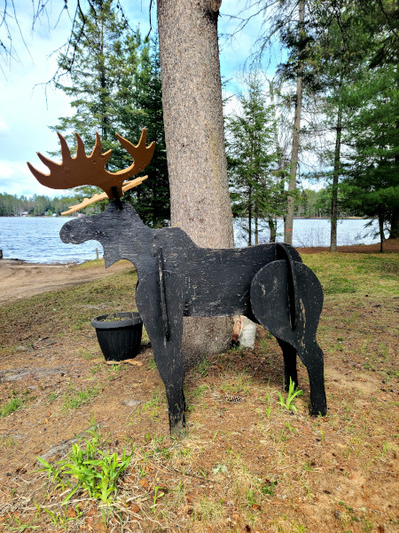 Ejemplo de caché en la Capital del Geocaching en Canadá