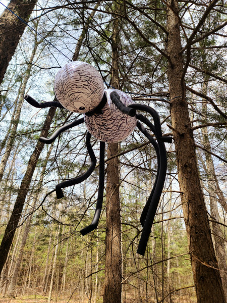 Geocaché # 8. Webster, uno de los cachés en la Capital del Geocaching en Canadá