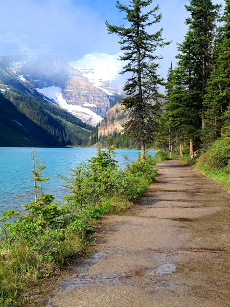 Hermoso paseo en la mañana, bodeando Lake Louise (fotografía tomada en el sendero Lake Louise Shoreline)
