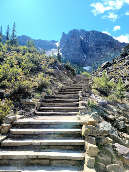 Sendero de 300 metros que te lleva hasta Rockpile Viewpoint, mirador donde podrás disfrutar de las mejores vistas de Moraine Lake
