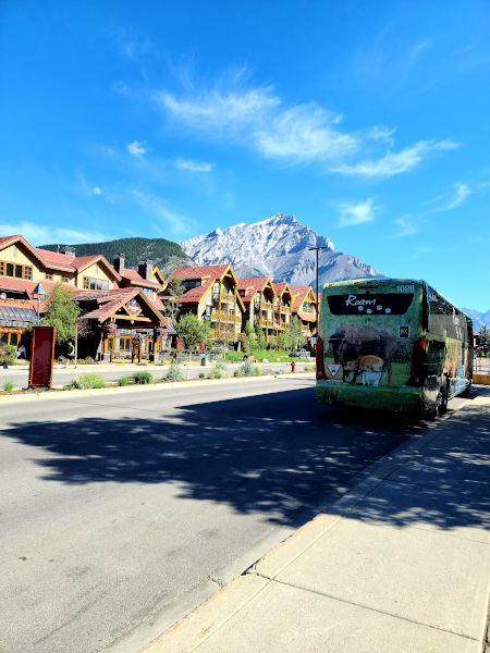 Incluso esperando por el transporte público en Banff, puedes disfrutar de unas vistas espectaculares de las Montañas Rocosas