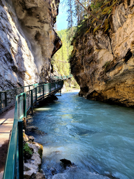 Pasarelas de acero y hormigón sobresalen de las paredes del cañón en Johnston Canyon