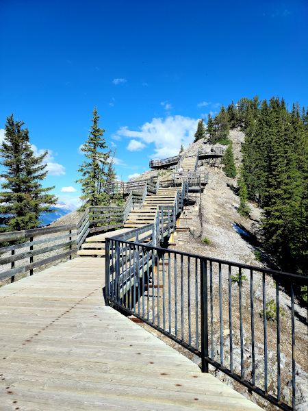 El sendero Sulphur Mountain's Boardwalk te lleva hasta Sanson Peak, el punto más alto de Sulphur Mountain, a una altura de 2283 metros