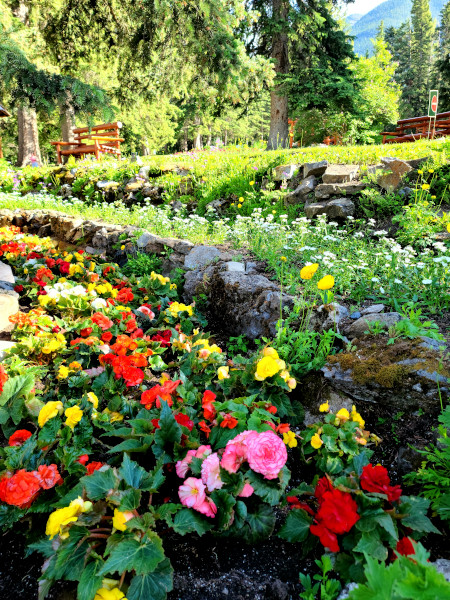 Uno de los tantos jardines en Cascade of Time Garden