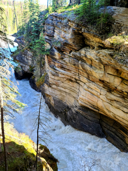 Cañón en Athabasca Falls