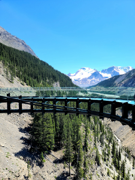 The Columbia Icefield Skywalk