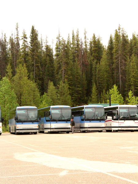 Ónmibus de Parks Canada listos para comenzar su recorrido hacia Lake Louise y Moraine Lake (foto tomada en Lake Louise Park and Ride)