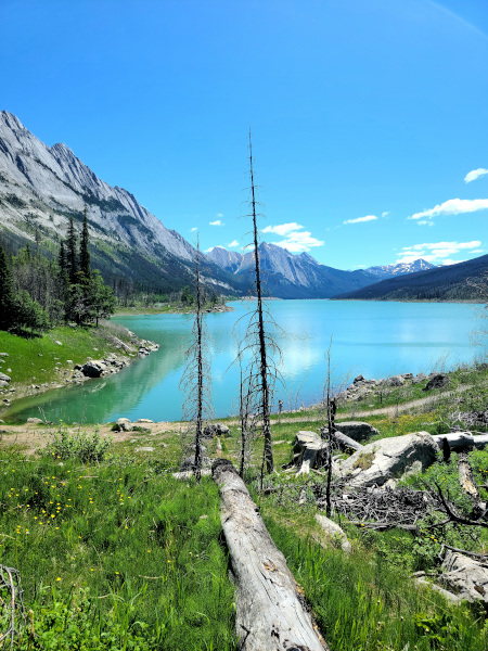 Vista de Medicine Lake