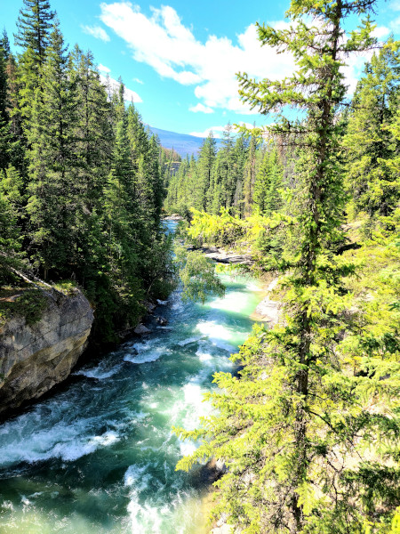 El sendero entre el cuarto y el quinto puente brinda vistas espectaculares del río Maligne 