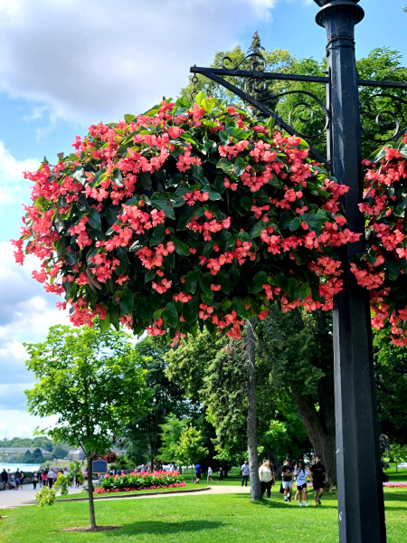 Queen Victoria Park, Niagara Falls