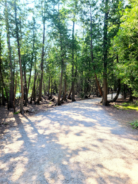 Georgian Bay Trail, uno de los tres senderos que te llevan hasta The Grotto 