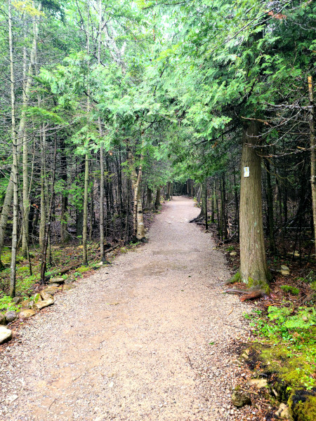 Primeros 800 metros del sendero Burnt Point Loop en el Centro de Visitantes