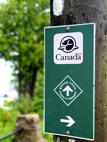 Bruce Trail es el sendero señalizado más antiguo y largo de Canadá. Mide 900 kilómetros y va desde Tobermory hasta la región del Niágara