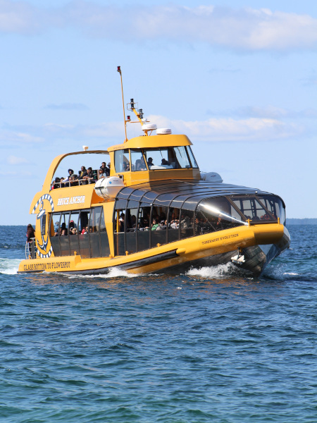 Bruce Anchor Cruises, otra de las compañías que ofrecen excursiones a Flowerpot Island 